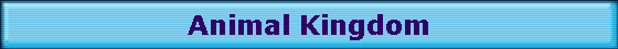 Animal Kingdom