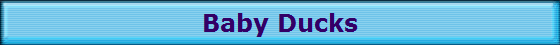 Baby Ducks