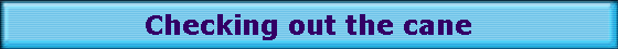 Checking out the cane