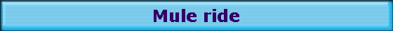 Mule ride