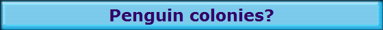 Penguin colonies?