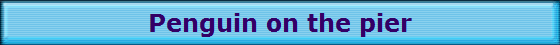 Penguin on the pier