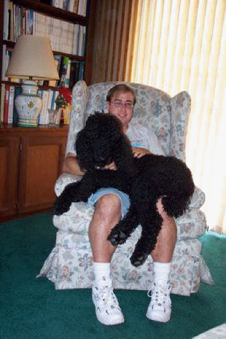 With Beau, the lapdog