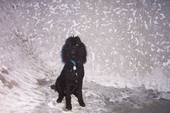 Help, I'm at the bottom of the pool!