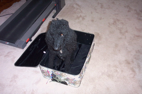 Maybe they won't find me!