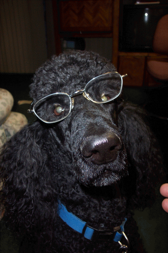 Do I look distinguished?