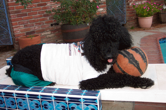 I'm suited up ready to play