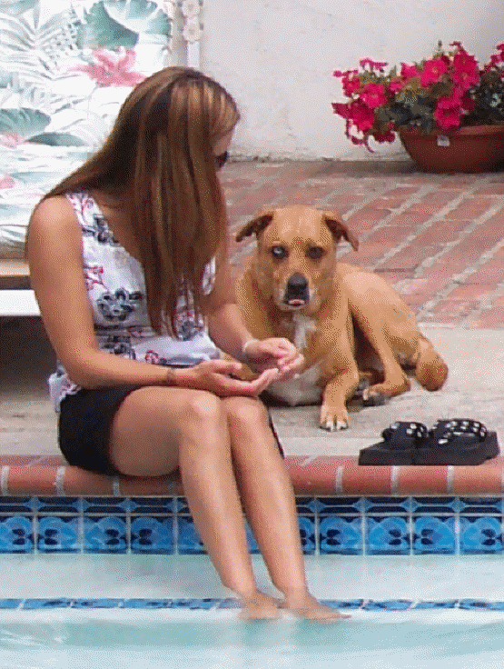 Liberty and her Polly