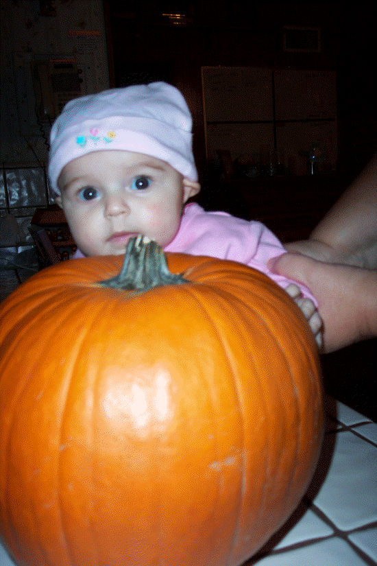I think I can fit in this pumpkin!