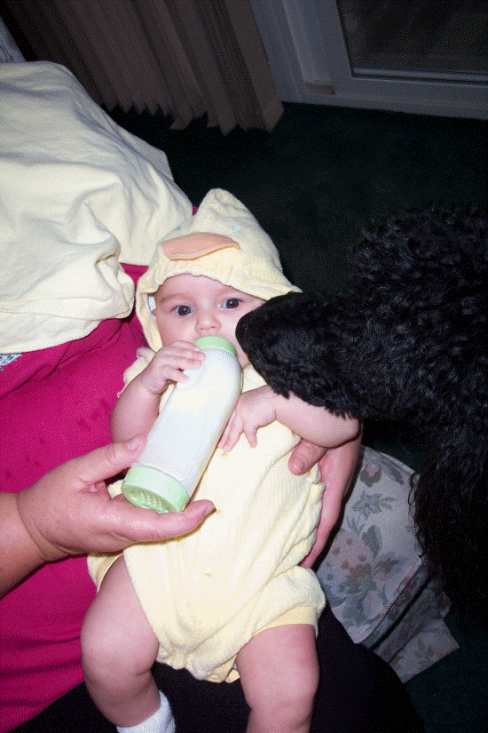 I'm a Duck for Halloween