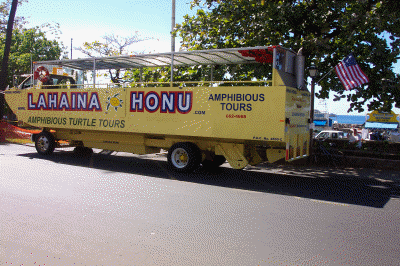 Amphibian about to leave