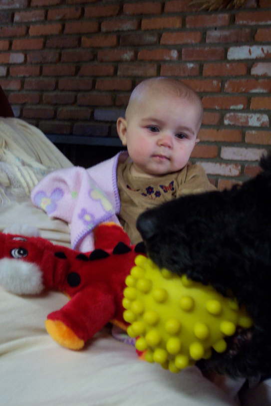 I'm playing with Beau