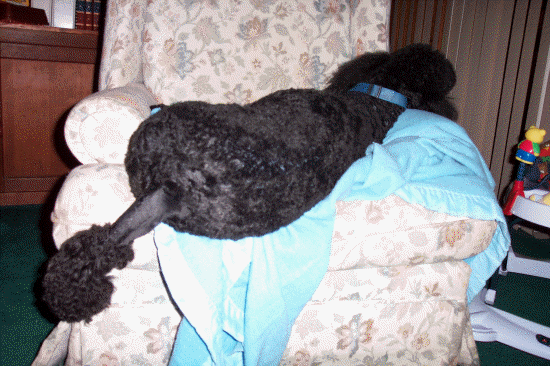 My favorite rocking chair