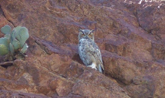 This is what Katie saw