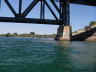 Kids jumping from the bridge