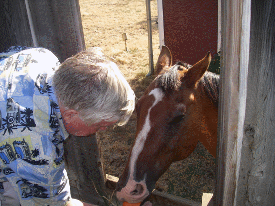 Feeding "Mike's" horse