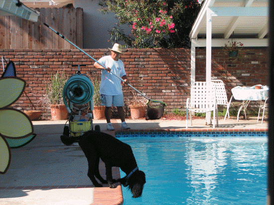 Helping to clean the pool