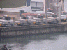Mules lined up at the Canal