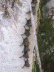 Bats!