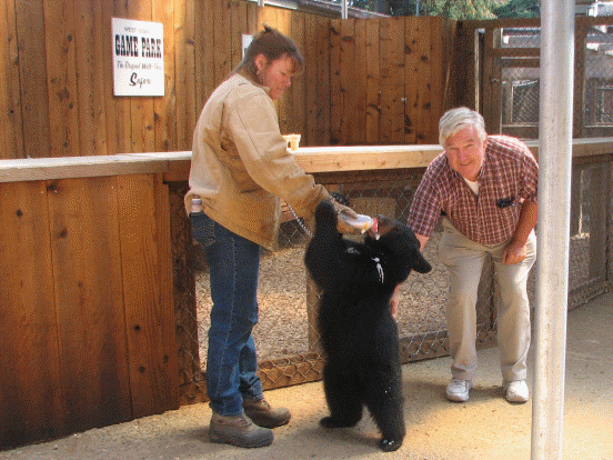 Pete and bear