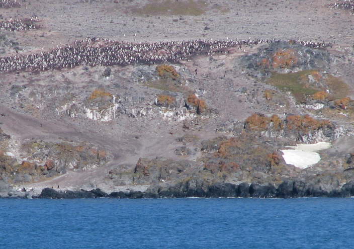 Now you can see them!