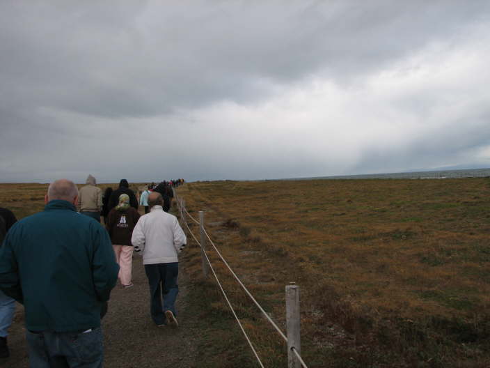 On the way to the Penguins