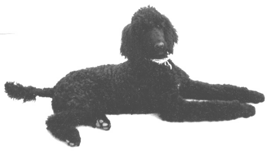 I'm seen all over the world!