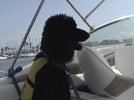 Keep your eyes peeled...