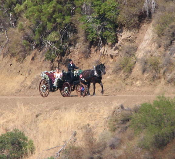 On the way to the ceremony