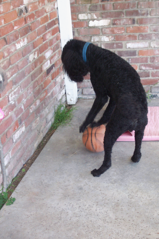 This ball doesn't play fair