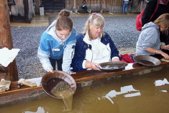 The gold rush is on!