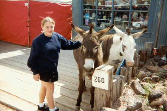 Ghost town Oatman, AZ