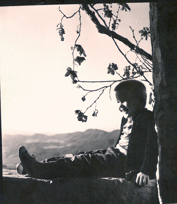 Sunset at Deer Springs